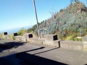 Ilha da Madeira Portugal 101398898