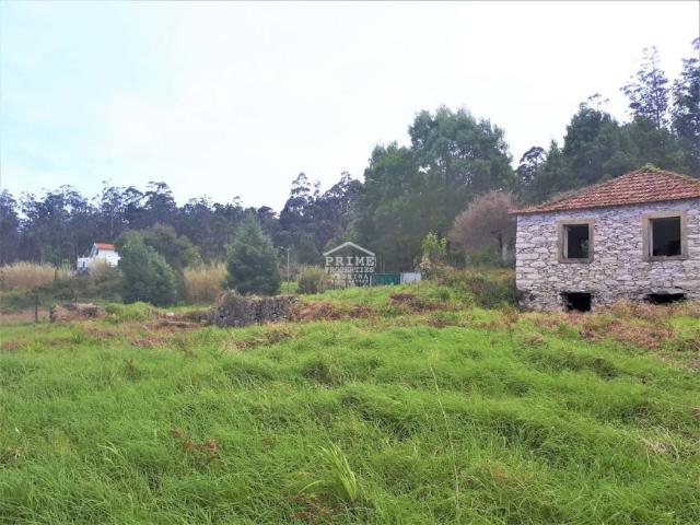 Ilha da Madeira Portugal 101398899