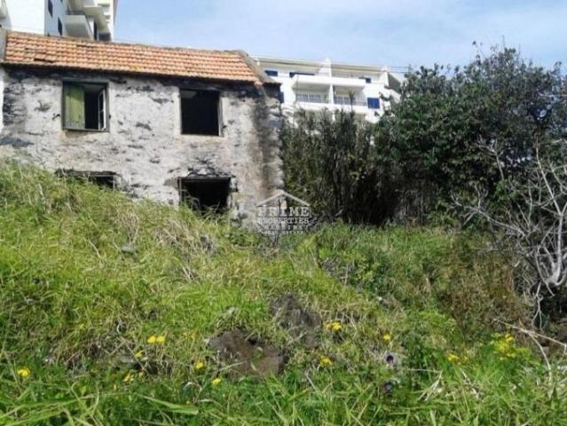 Ilha da Madeira Portugal 101398901