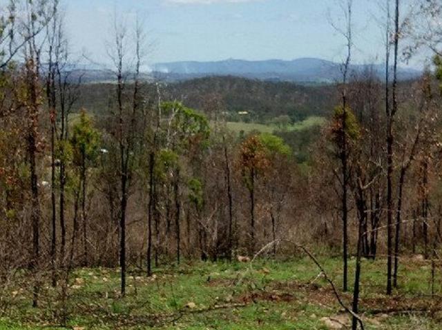 ILL HEALTH FORCES SALE Moolboolaman/New Moonta Mt Envy 526.4 Hectares 1308 Acres
