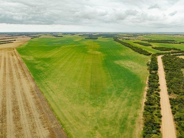 ILLANGIE SOUTH QUALITY MIXED FARMING OPPORTUNITY