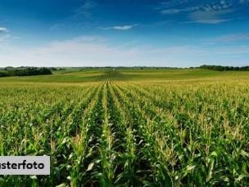 Illmitz, Bezirk Neusiedl am See, Burgenland