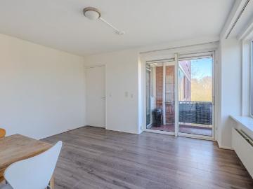 Zunderdorp, Noord, Amsterdam, Amsterdam, Noord-Holland, Noord-Holland