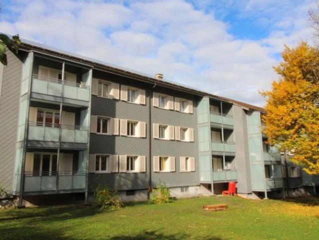 Im 2021 sanierte 3.5 Zimmerwohnung mit Sitzplatz