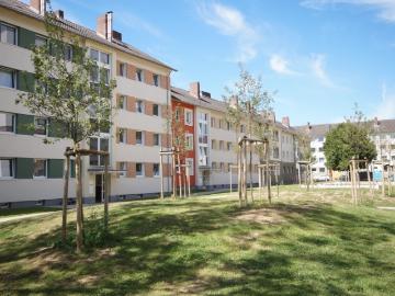 Wohnung zur Miete in Bärenkämpen - Keller