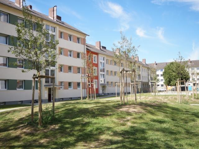 Im Umbau! Frisch sanierte 3 Zimmer Wohnung!