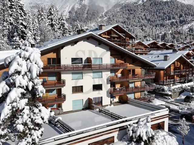 Im Zentrum von Verbier