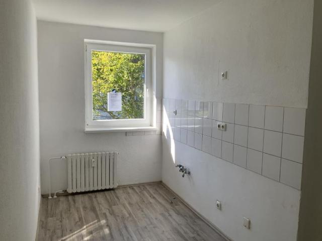 Im Grund 8, 59174 Kamen