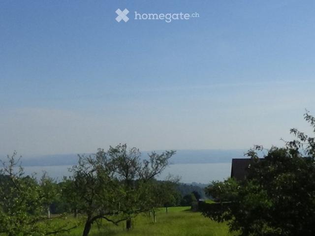 Im Grünen: Garten. öV 8 min. Bodensee Blick