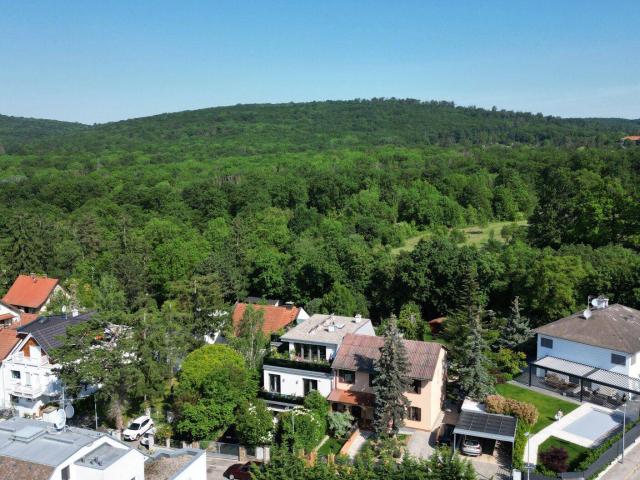 Im Grünen verwurzelt. Nach oben offen. – Familienhaus mit Zukunft in Hietzing | ZELLMANN IMMOBILIEN