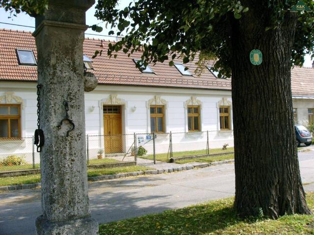 IM NATIONALPARK DONAUAUEN MIT TERRASSE & HOFSEITIGER GRÜNFLÄCHE PROVISIONSFREI