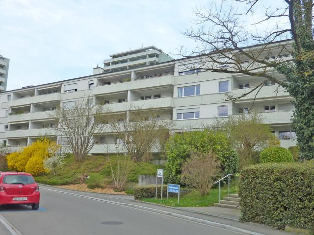 Im schönen Höngg