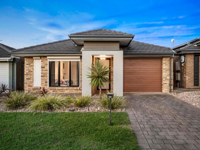Immaculate Open Plan Living and Entertaining!