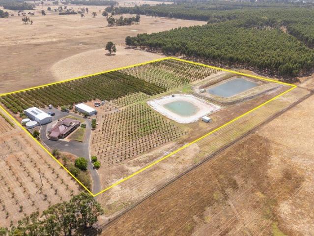 Immaculate Cherry Farm & More