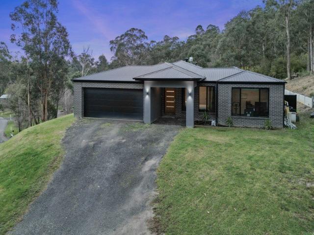 Immaculate Country Living on over 3 Acres