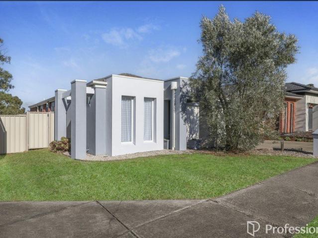 Immaculate Family Home on a Spacious Corner Block