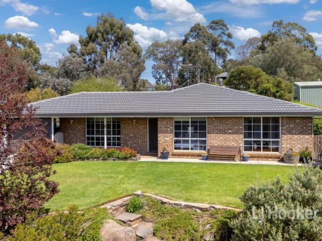 Immaculate family home on 2,203sqm with fantastic shedding & elevated views