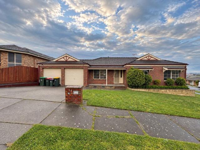 IMMACULATE FAMILY HOME