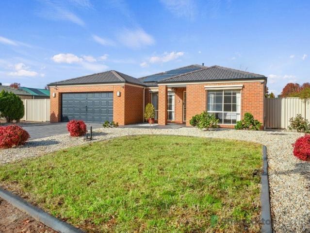 Immaculate Family Home!