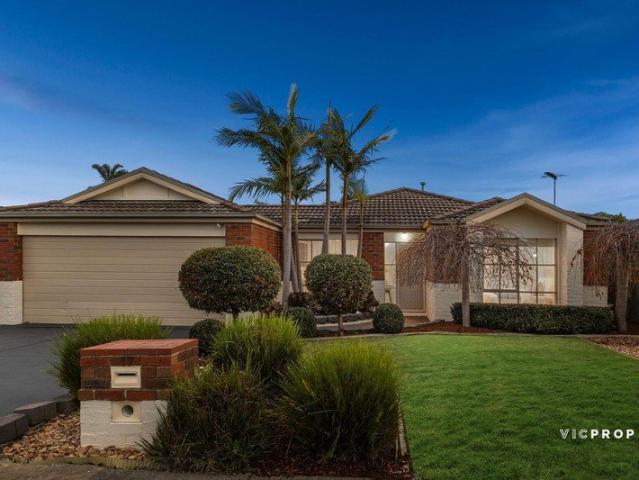 Immaculate Family Living in Knox Bridge Estate