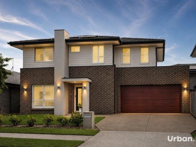Immaculate Family Living with Premium Outdoor Entertaining A True Standout in Schofields