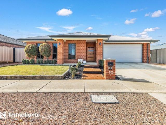 Immaculate Family Living with Room to Move