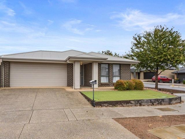 Immaculate Home Like Brand New on Corner Allotment