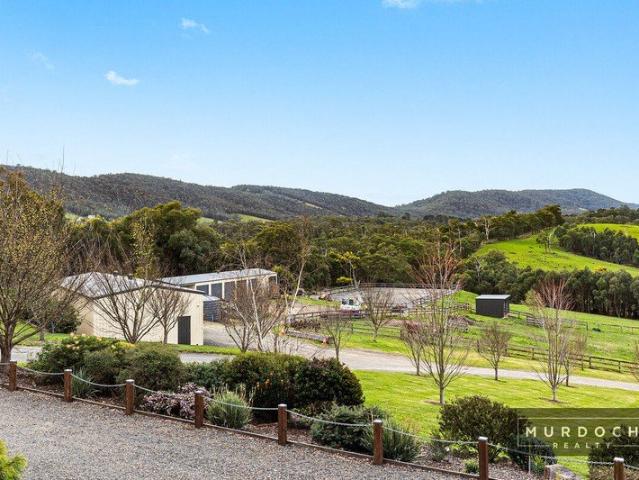 Immaculate Lifestyle Estate in the Heart of the Yarra Valley