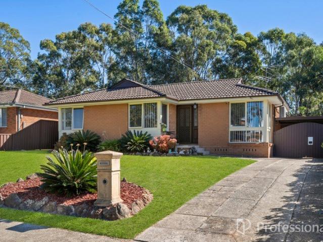 Immaculate Renovated Brick Home Walk to Mall R4 Zoning for the Future!