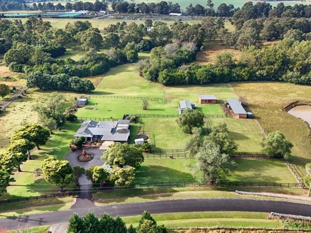 Immaculate Theresa Park Lifestyle Holding