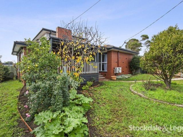 Immaculate Updated Family Home