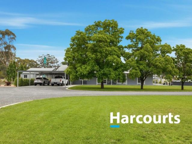 Immaculate 1 Acre Lifestyle with Exceptional Shedding