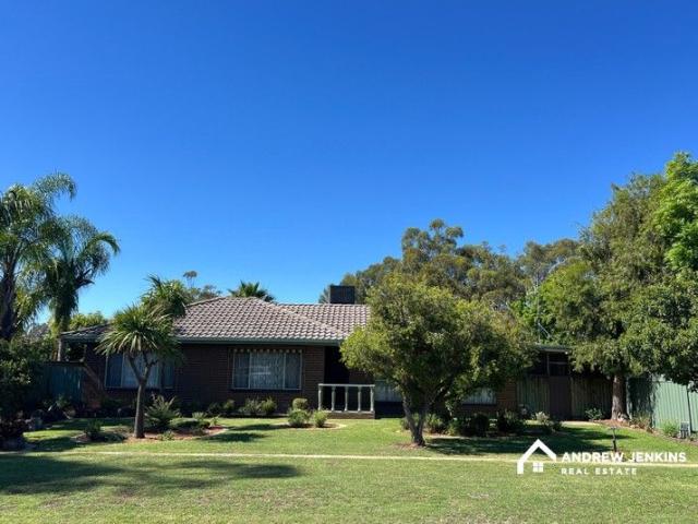 Immaculate 4 Bedroom Home with Exceptional Shedding & Outdoor Living