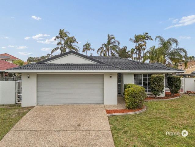 Immaculately Updated Family Living, Exceptionally Located in Prime Calamvale Location Impressive Lowset Residence