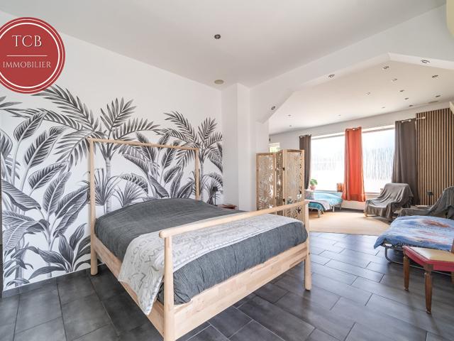 Maison Dannemarie 250 m2