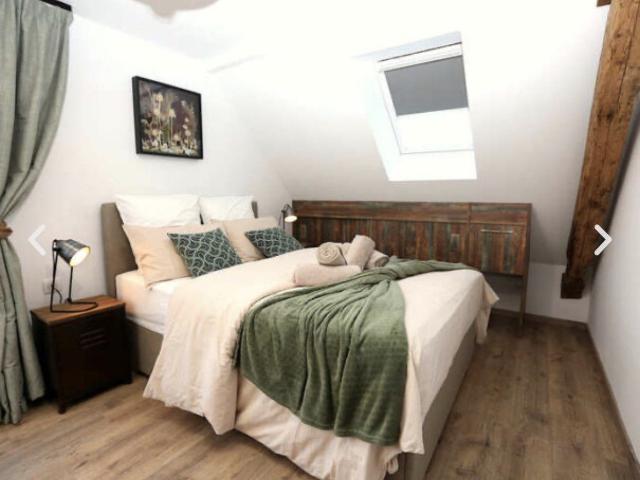 Immeuble avec restaurant, 3 logements et 5 chambres d'hôtes 547m² Hoffen