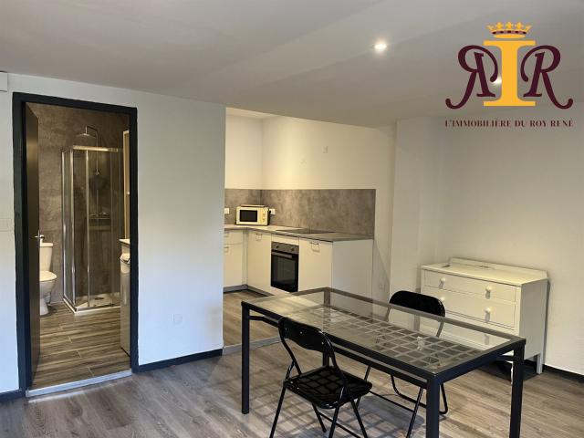 Immeuble de rapport avec 3 F1 rénovés en 2023 90m² La Tour d'Aigues