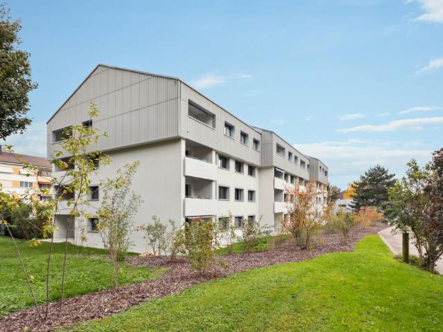 Immeuble Minergie | Appartement rénové avec caution gratuite