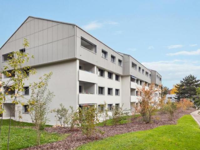 Immeuble Minergie | Appartement rénové avec caution gratuite