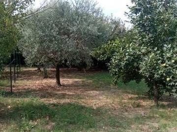 Galciana, Prato Toscana, Emilia Romagna