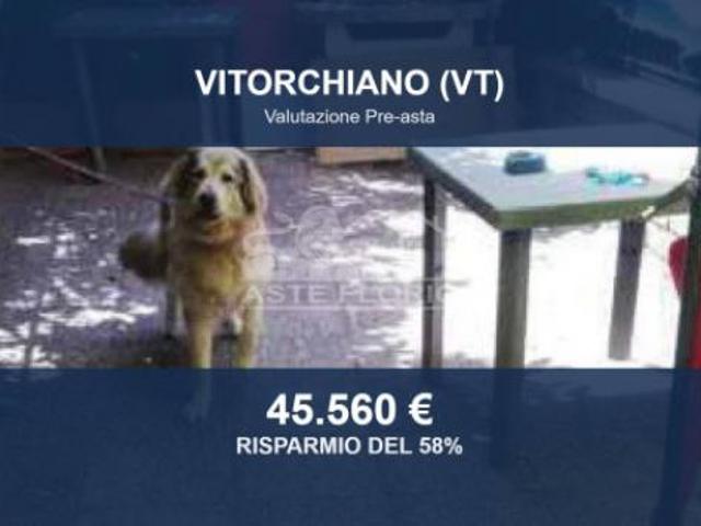 Immobile in asta di 123 m in vendita a Vitorchiano