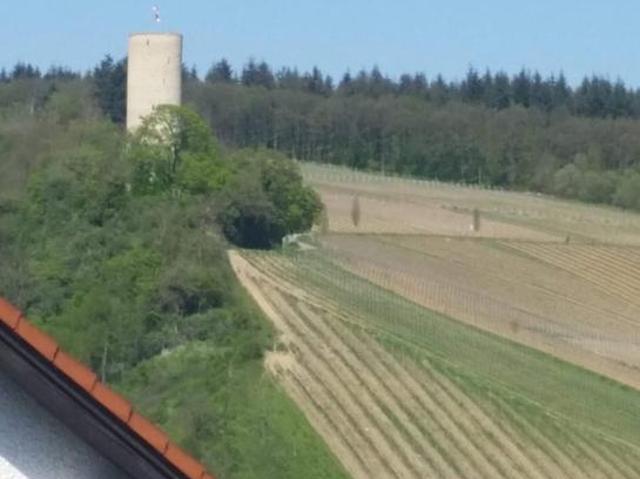 Immobilie in Kiedrich im Rheingau