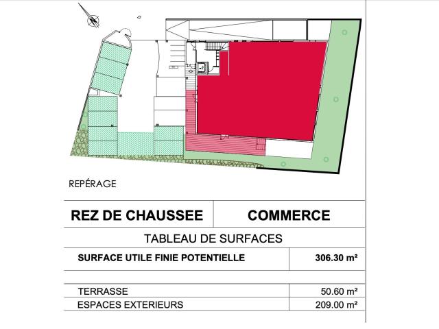 Immobilier Professionnel à vendre Lattes 306m² Lattes