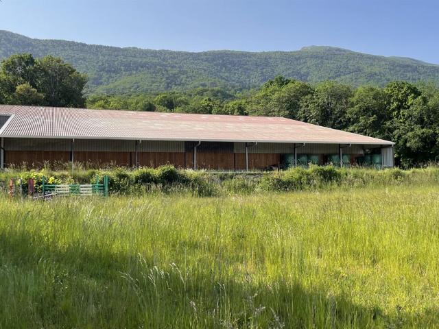 Immobilier Professionnel à vendre Saint Jean de Gonville 250m² Saint Jean de Gonville