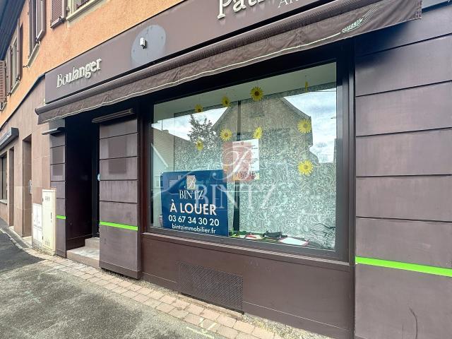 Immobilier Professionnel à louer Dorlisheim