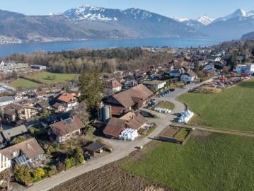 Thun, Verwaltungsregion Oberland, Kanton Bern