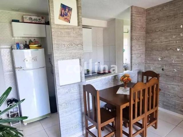 Imoveis na Vila Aparecida