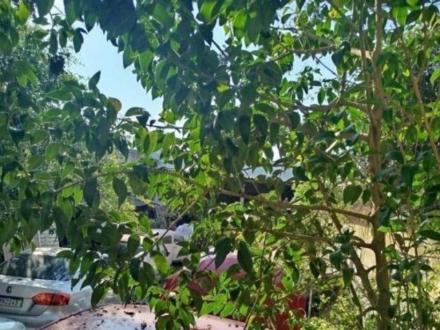 Imoveis na Vila Gilda
