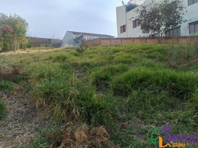Imoveis na Vila Togni