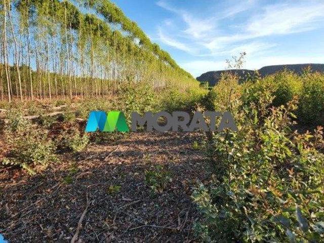 Imoveis na Zona Rural